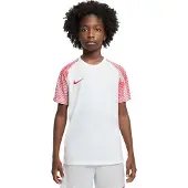 Nike T-Shirt fonctionnel 'Academy' rouge / blanc