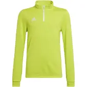 Adidas Entrada 22 Training Sweatshirt Vert 11-12 Years Enfants