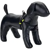 Beeztees BZ NY GESCH UNI NOIR 26-40X1 (Chien, Général)