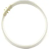 Philips MASTER TL5C Circulaire 60W - 840 Blanc Froid | 38cm