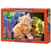 Castorland Puzzle 500 pièces Chaton Gingembre 52240