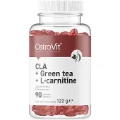 OstroVit cla + thé vert + l-carnitine BI9104