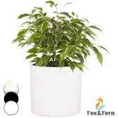 Fox & Fern Jardinière en fibre de pierre pour intérieur/extérieur