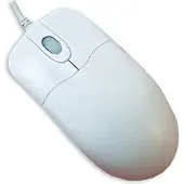 Seal Shield Silver Storm Mouse USB, blanc, modèle STWM042 - Souris - 800 dpi