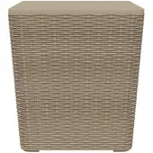 vidaXL Table de jardin avec plateau amovible Marron clair Polypropylène