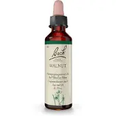 Nelsons GmbH Fleurs de Bach Original n° 33 Walnut Noyer gouttes, 20 ml de solution