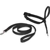 Nayeco Laisse Pour Chien Easy Walk Holder