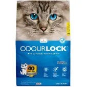 Intersand Classic 2x 12kg de litière pour chat Sans Parfum