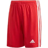 Adidas Pantalon JR Squadra 21, GN5761, Pointure: 123
