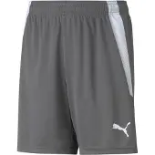 Puma Pantalon de sport 'TeamLiga' gris foncé / blanc cassé