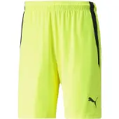 Puma Short teamLIGA