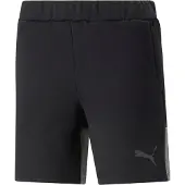 Puma Pantalon de sport 'Team Cup' gris foncé / noir