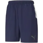 Puma Pantalon de sport 'TeamLiga' marine / gris / blanc