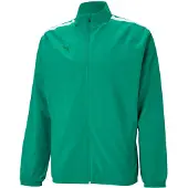 Puma Teamliga Presentation Jacket Men - Green