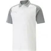 Puma T-Shirt fonctionnel 'TeamCup' gris / blanc