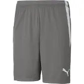Puma Pantalon de sport 'TeamLiga' gris clair / gris foncé