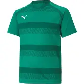Puma T-Shirt fonctionnel 'TeamVision' vert / vert foncé / blanc