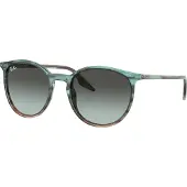 Ray-Ban Sunglasses RB2204 1394GK