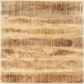 vidaXL Dessus de table Bois de manguier solide 25-27 mm 70x70 cm