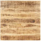 vidaXL Dessus de table Bois de manguier solide 15-16 mm 70x70 cm