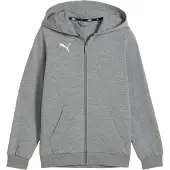 Puma Garçons, Pull-over, teamGOAL Casuals Veste à capuche Jr, Gris, (116)