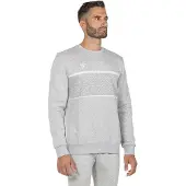 Tecnifibre Team Sweatshirt Gris S Homme
