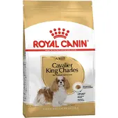Royal Canin Cavalier King Charles Adult - 7,5 kg