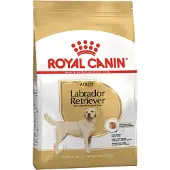 Royal Canin Canine Labrador Retriever 12 kg Pellet(S)