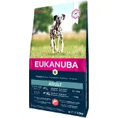 Eukanuba Adult Large Breeds Salmon Barlej 12 kg nourriture sèche pour chiens grandes races riche en saumon et en orge