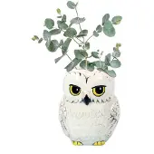 Half Moon Bay Harry Potter - Hedwige - Pot De Fleur Mural