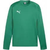 Puma Sweat de sport 'teamGOAL' vert / blanc