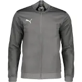 Puma Veste outdoor 'Team Goal' gris foncé / blanc