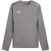 Puma Hommes, T-shirt de sport, teamGOAL Sweat d'entraînement (M), Gris, M