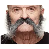 MOM Moustache