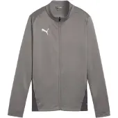 Puma Vestes d’entraînement 'TeamGoal' gris / gris clair