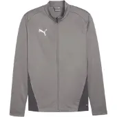 Puma Veste Polyester Teamgoal Hommes - Grise