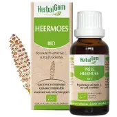 Herbalgem Prêle Bio 30 ml Goutte(S)