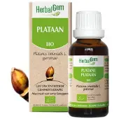 Herbalgem PLATANE 30 ml Goutte(S)
