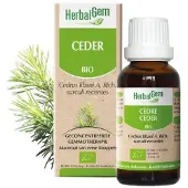 Herbalgem CÈDRE 30 ml Goutte(S)