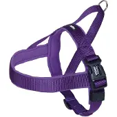Nobby Harnais Norvégien Pour Chien Nobby Pet Classic Preno