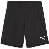 Puma Pantalon Team Goal S12979
