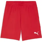 Puma Teamgoal Shorts Men - Rouge