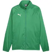 Puma Veste de sport 'TeamGoal' vert / blanc