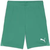 Puma Pantalon Team Goal S0060