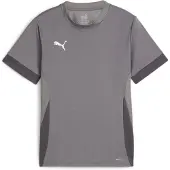 Puma Teamgoal Matchday Short Sleeve Jersey Kids - Grey