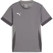 Puma Teamgoal Matchday Short Sleeve Jersey Kids - Grey