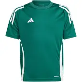 Adidas T-shirt à Manches Courtes Tiro24