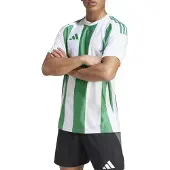 Adidas Striped 24 Short Sleeve T-shirt Vert M Homme
