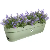 Elho Pot de Plante en Plastique Vert de 70 cm par Elho
