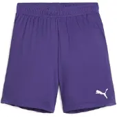 Puma Garçons, Bas de sport, teamGOAL Short Jr (164), Violet